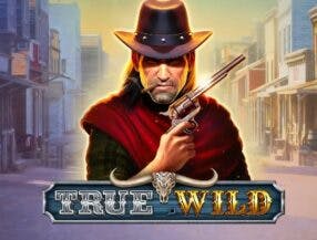 casino free slot games